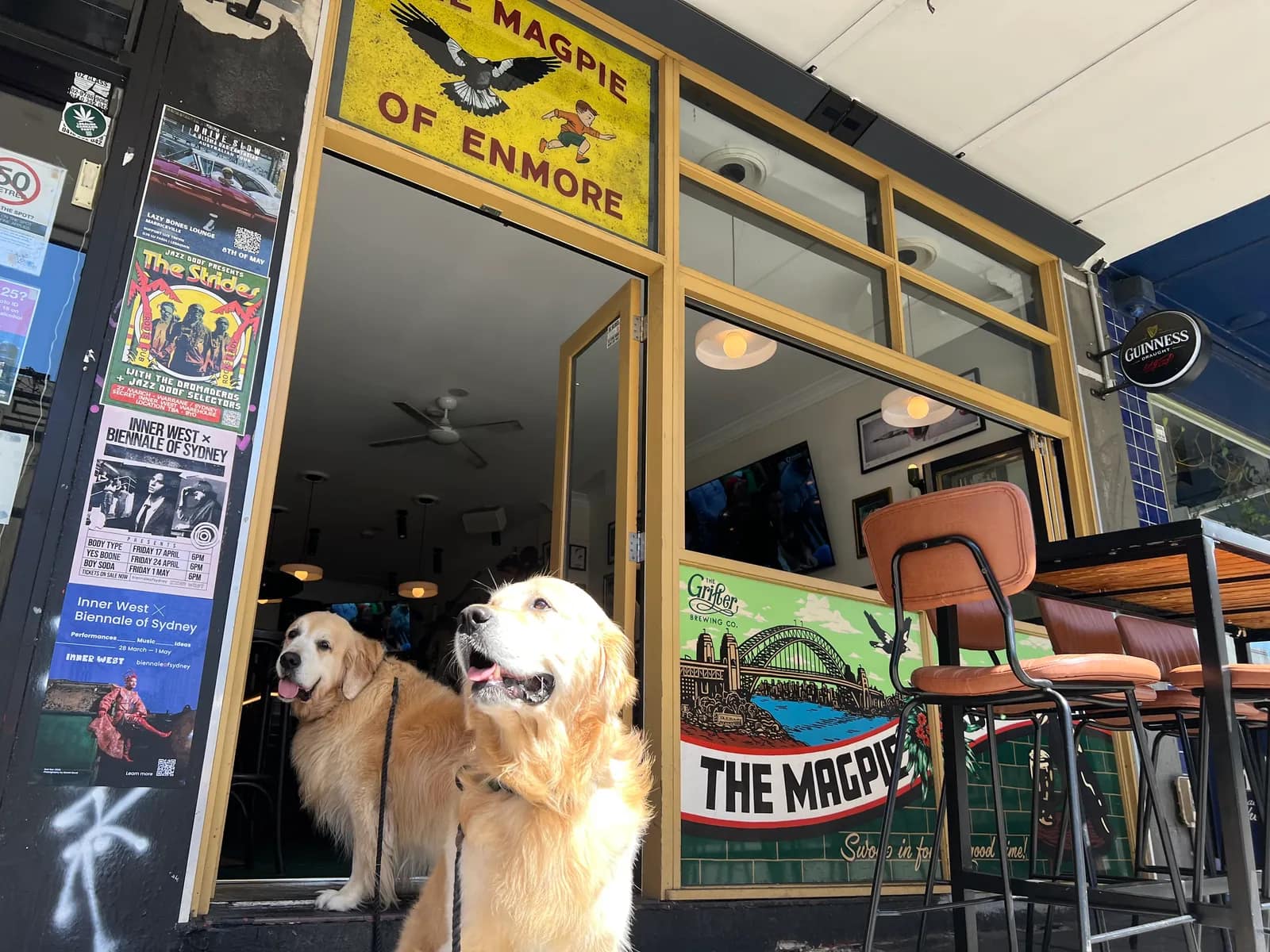 The Magpie - Sports Bar & Pub Enmore pub in Enmore