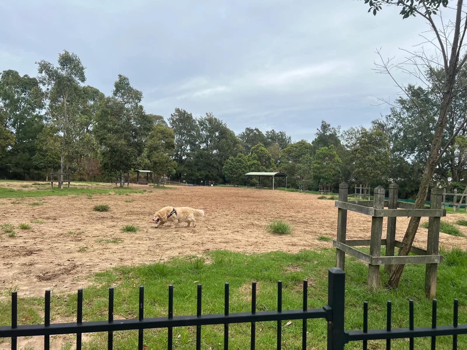 O'Dea Reserve park in Camperdown