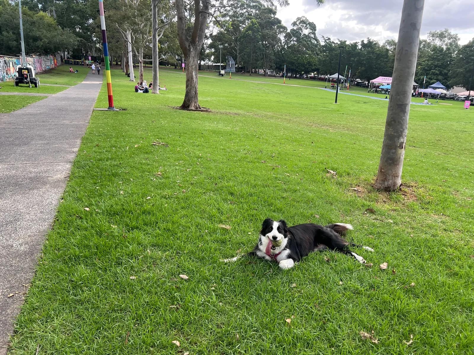 Camperdown Memorial Rest Park park in Newtown