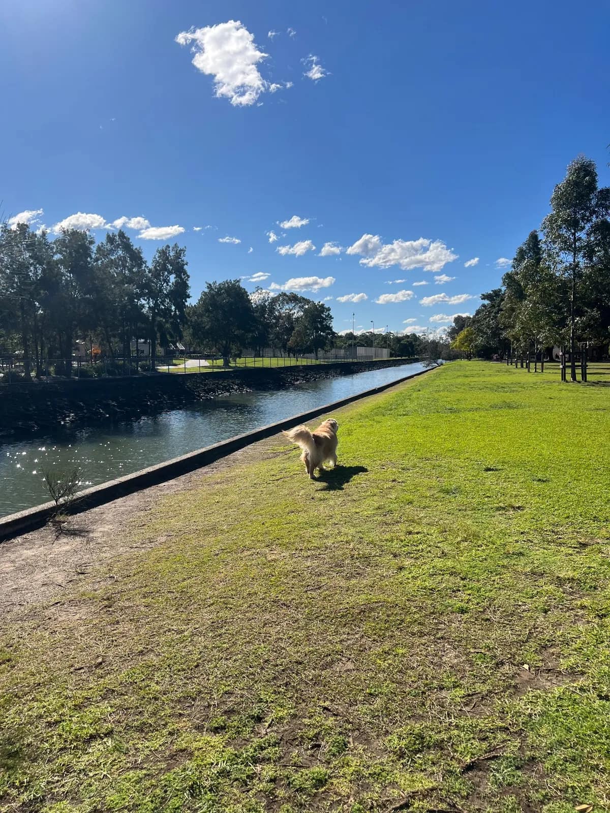 Hawthorne Canal Reserve park in Leichhardt