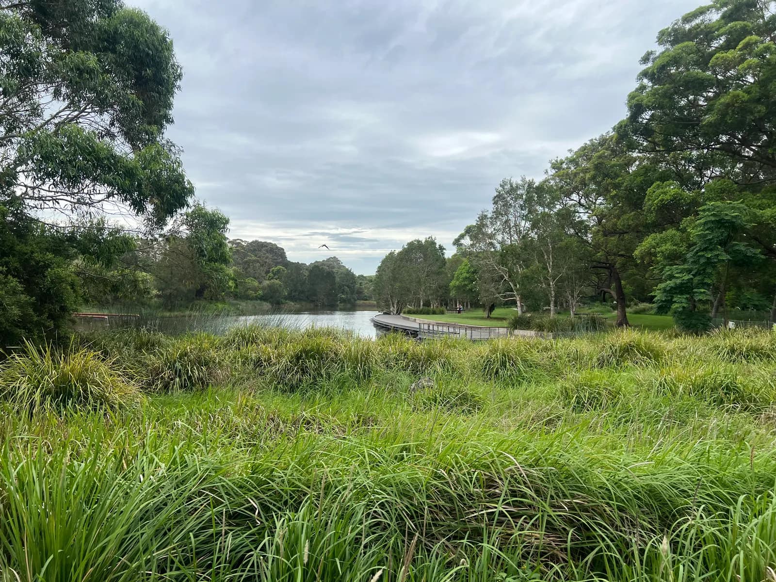 Sydney Park park in Alexandria