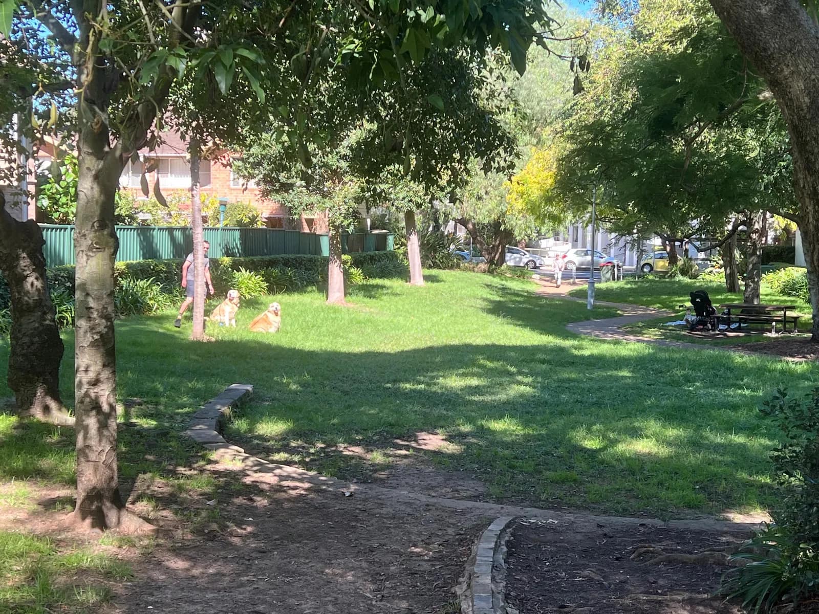 Matt Hogan Reserve park in Newtown