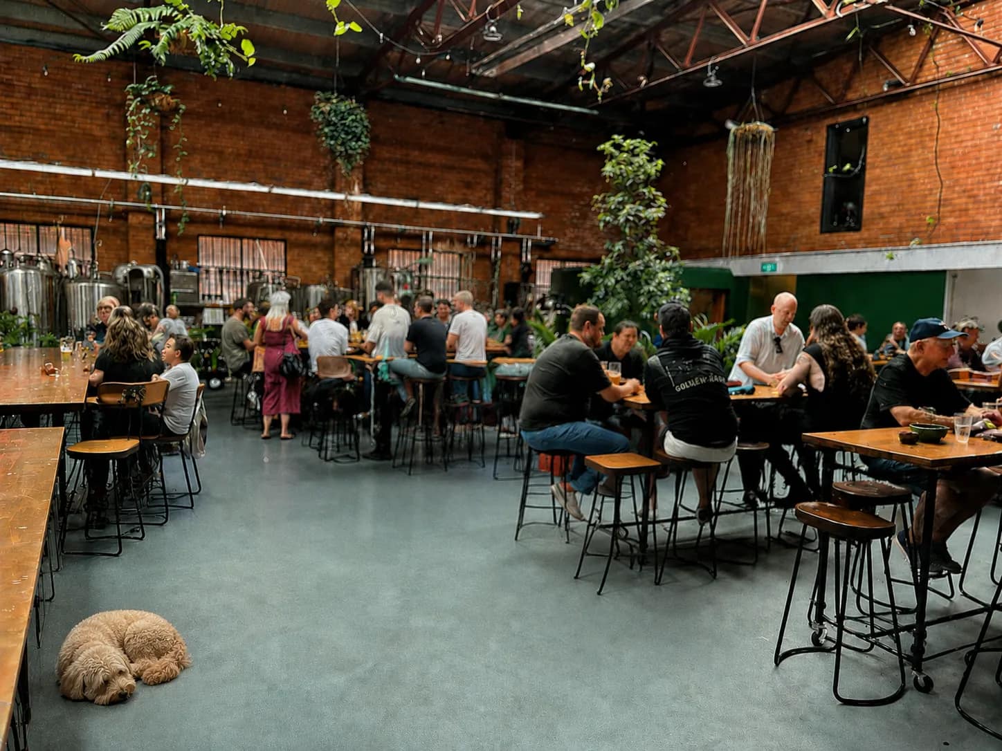 Mixtape Brewing & Bar brewery in Marrickville
