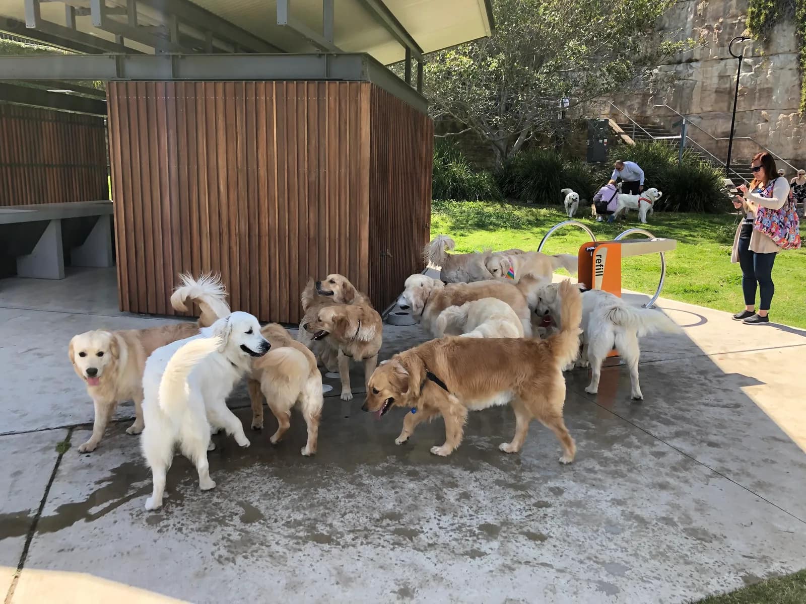Bridgewater Park park in Rozelle