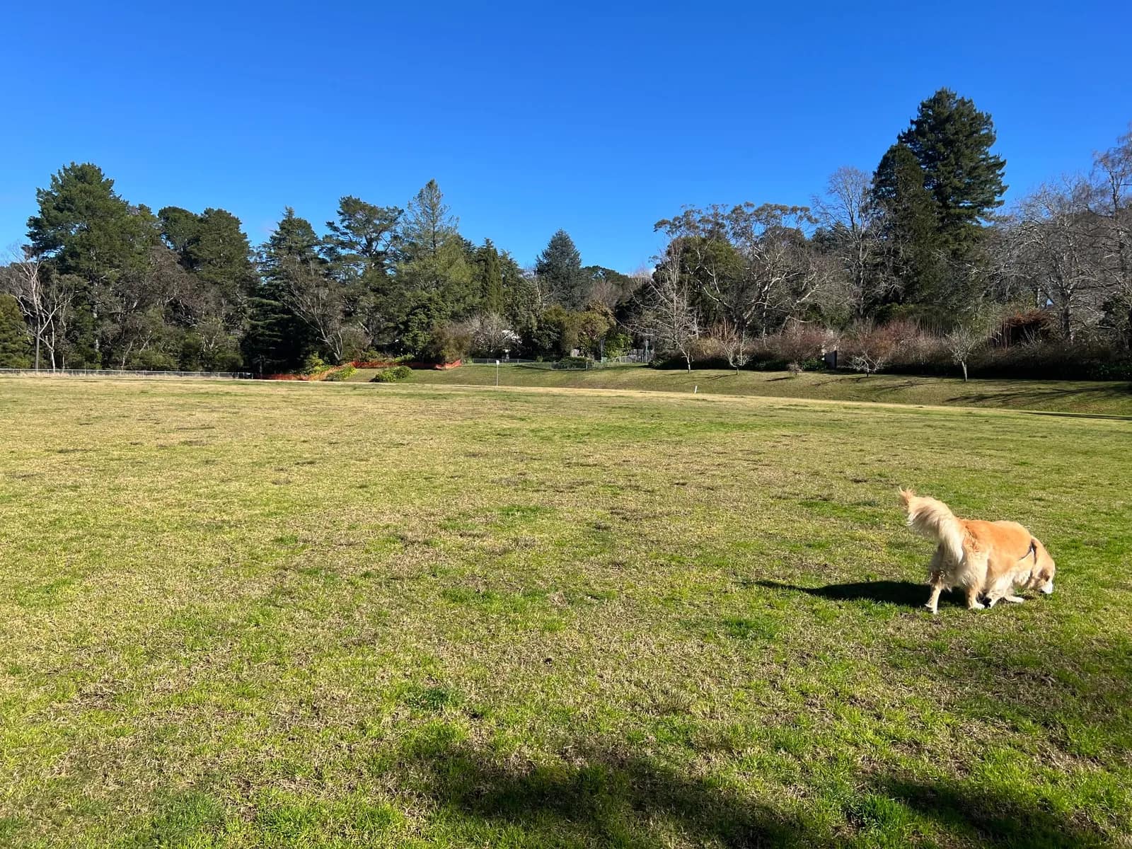 Leura Oval park in Leura