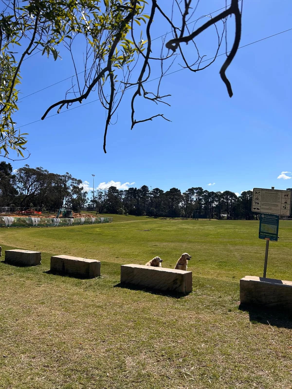 Pitt Park park in Wentworth Falls