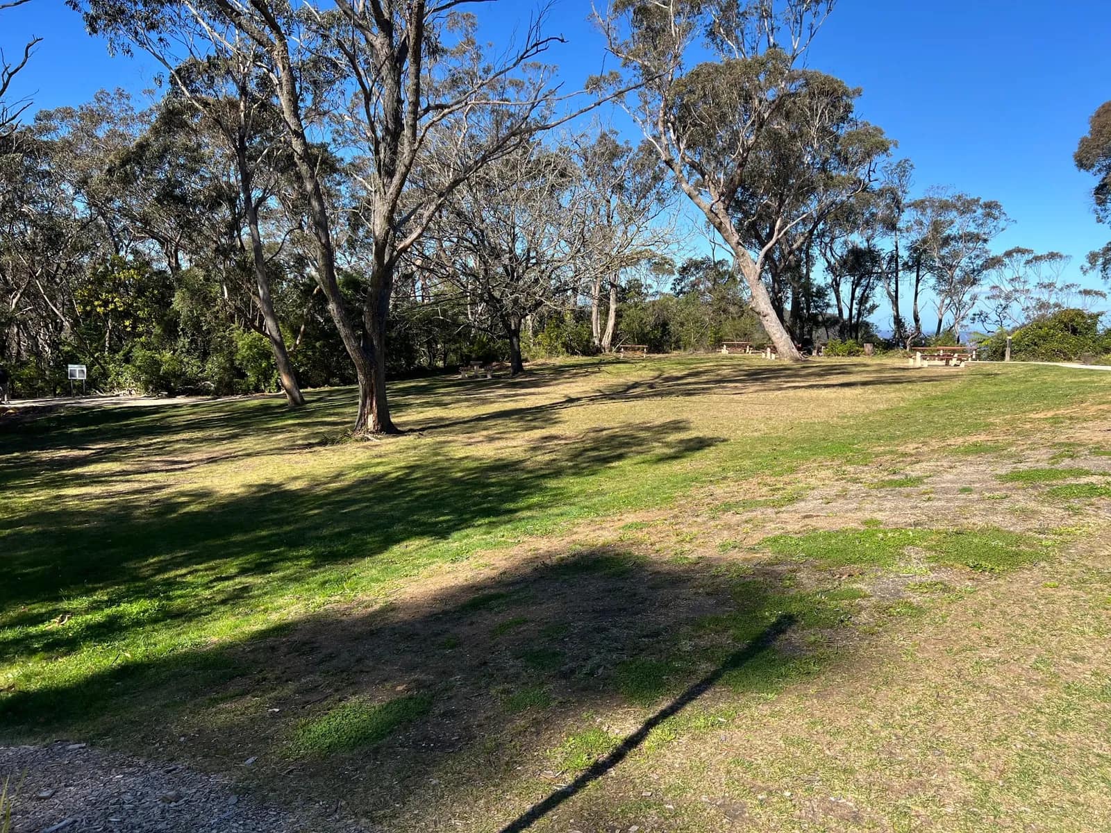 Gordon Falls Reserve park in Leura