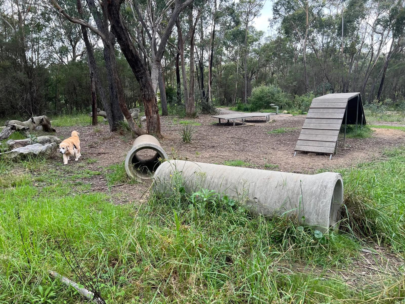 Lawson Dog Offleash Recreation Area park in Lawson