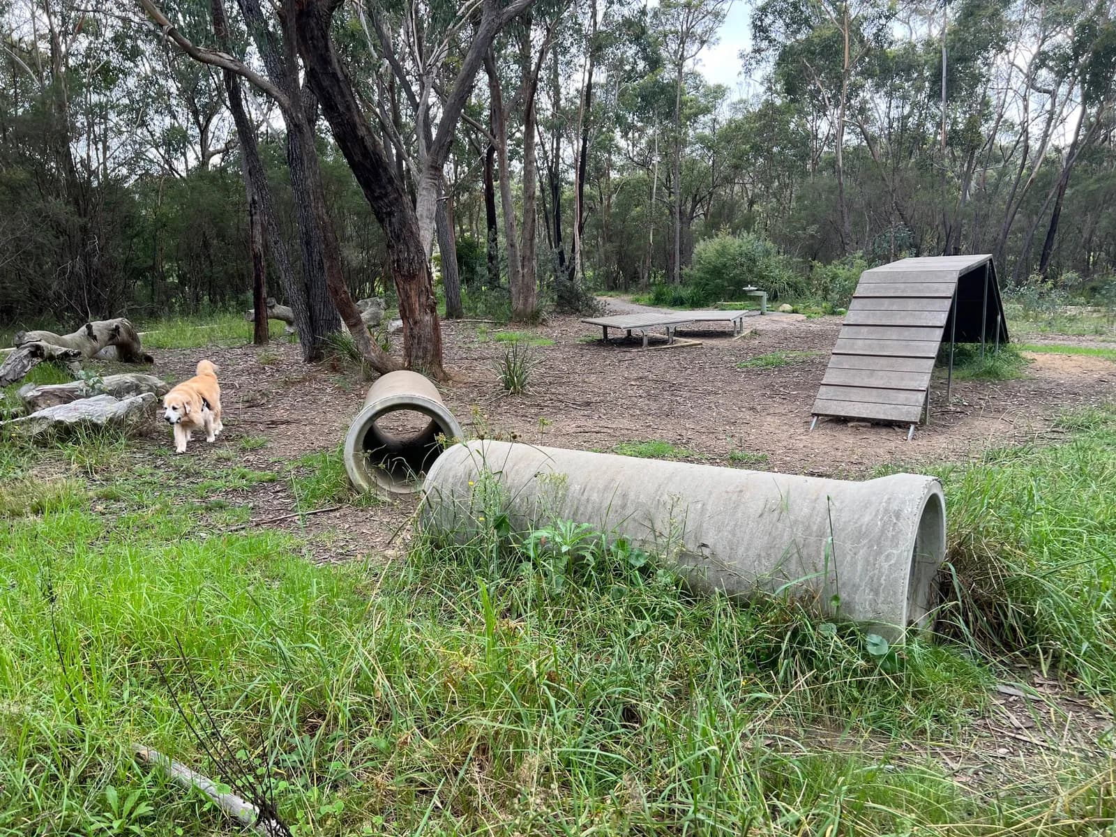 Photo from Lawson Dog Offleash Recreation Area in Lawson