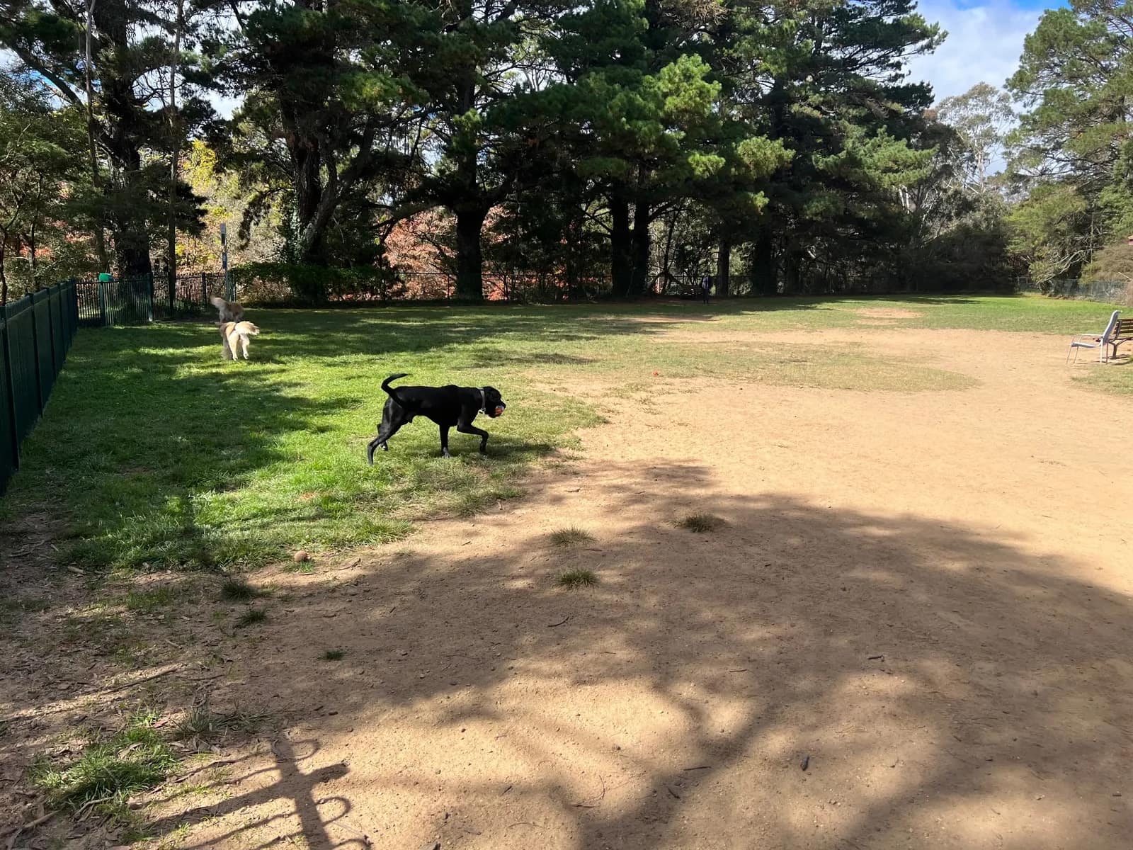 Whitley Park park in Blackheath