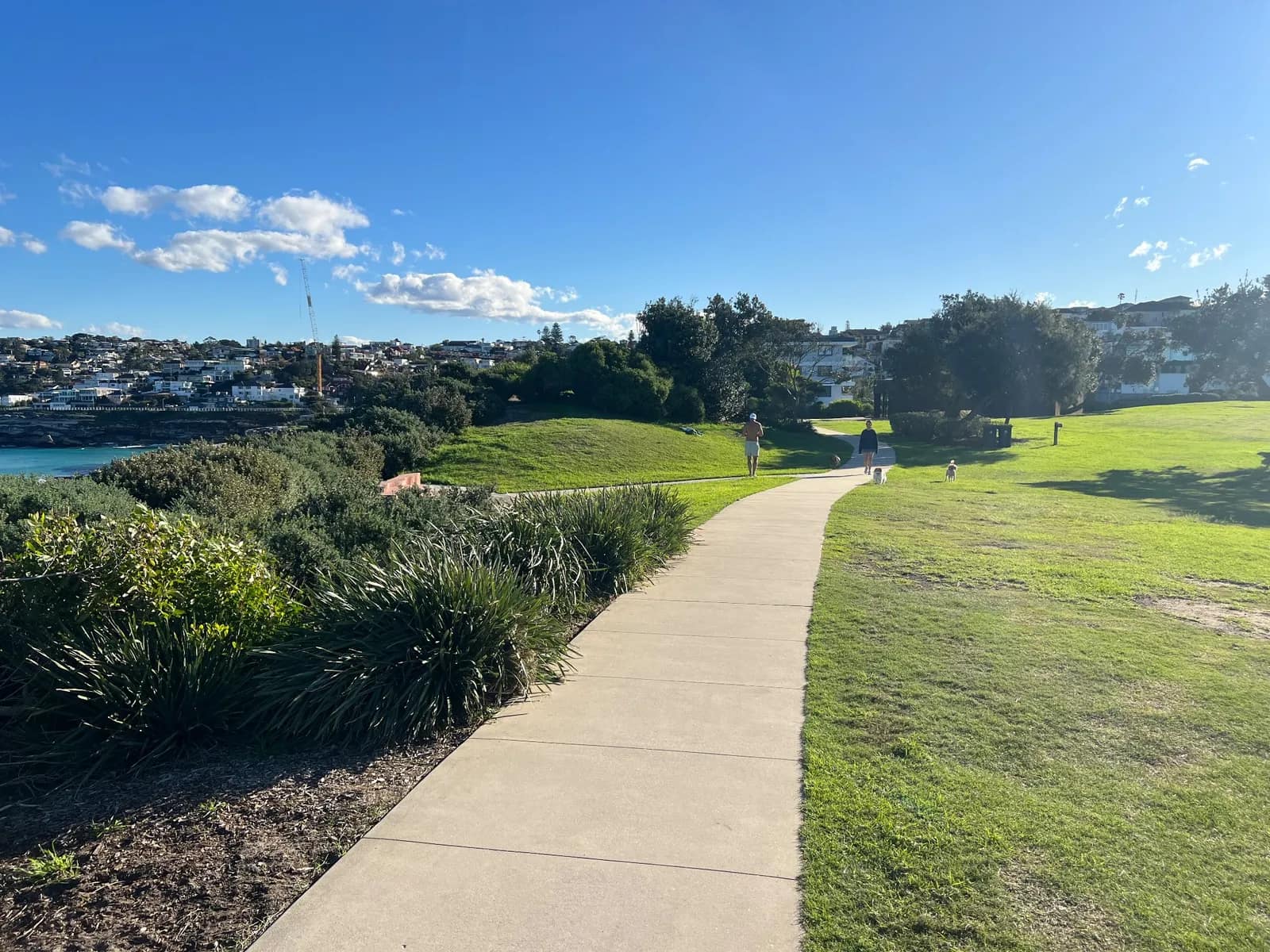 Marks Park park in Tamarama