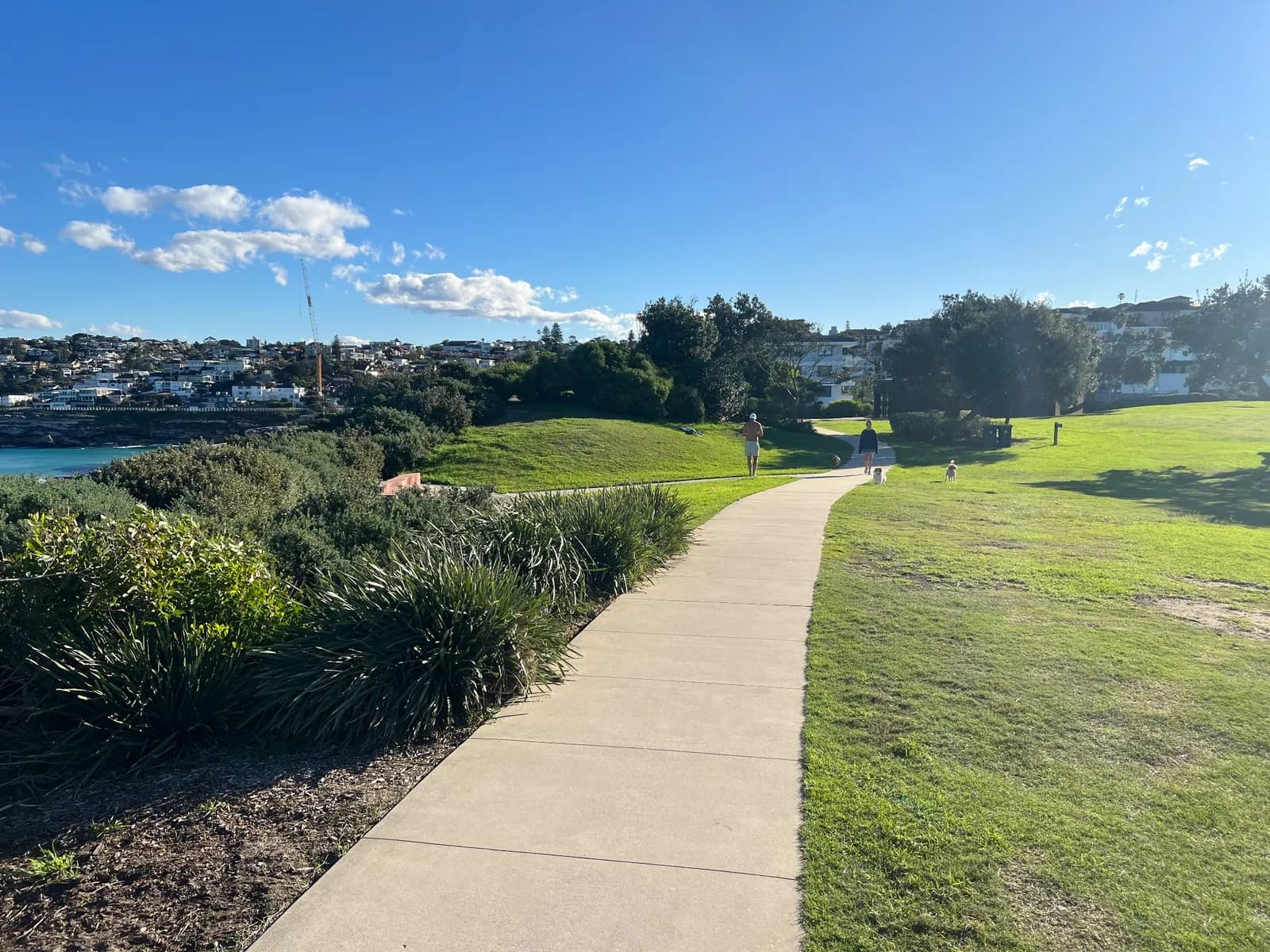 Marks Park in Bondi Beach
