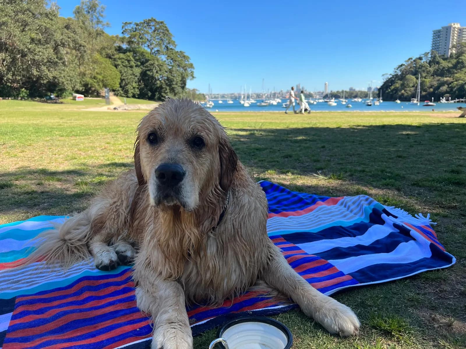 Sirius Cove Reserve park in Mosman