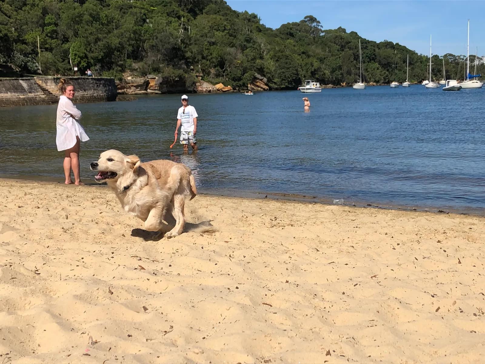 Sirius Cove Beach beach in Mosman
