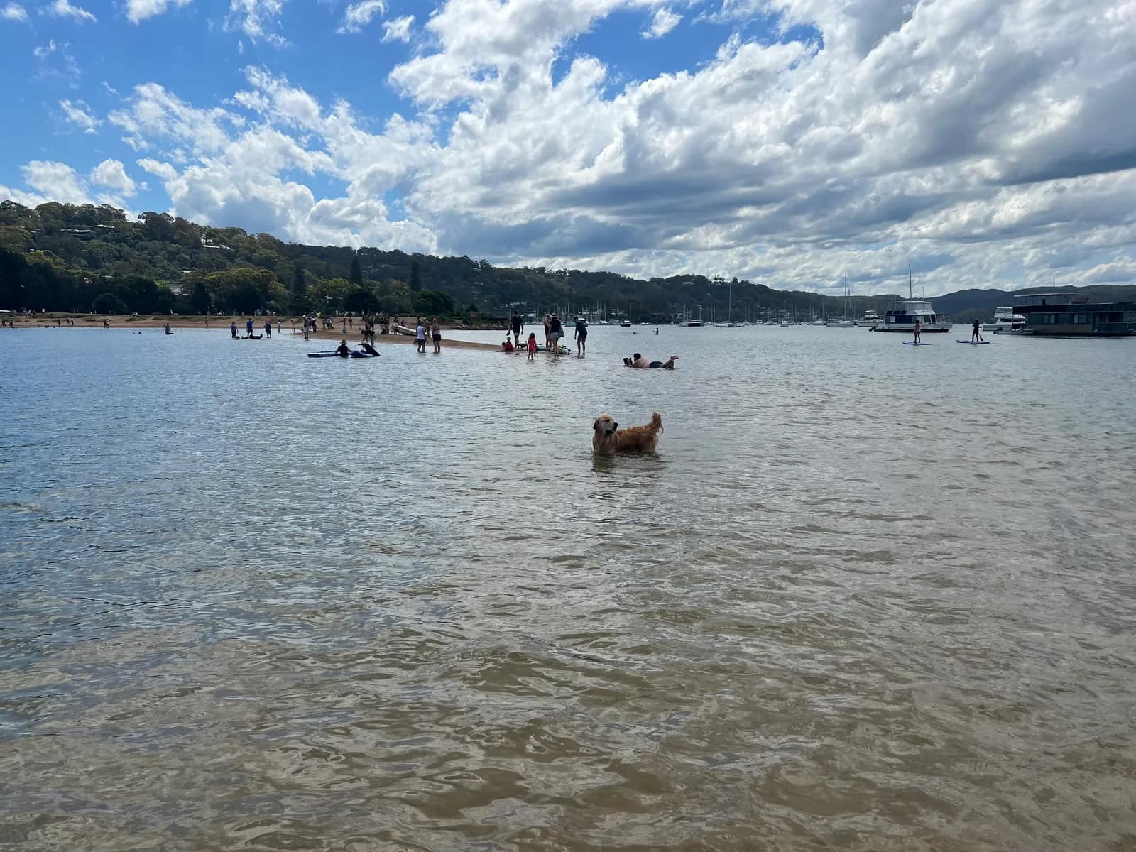 Rowland Reserve park in Bayview