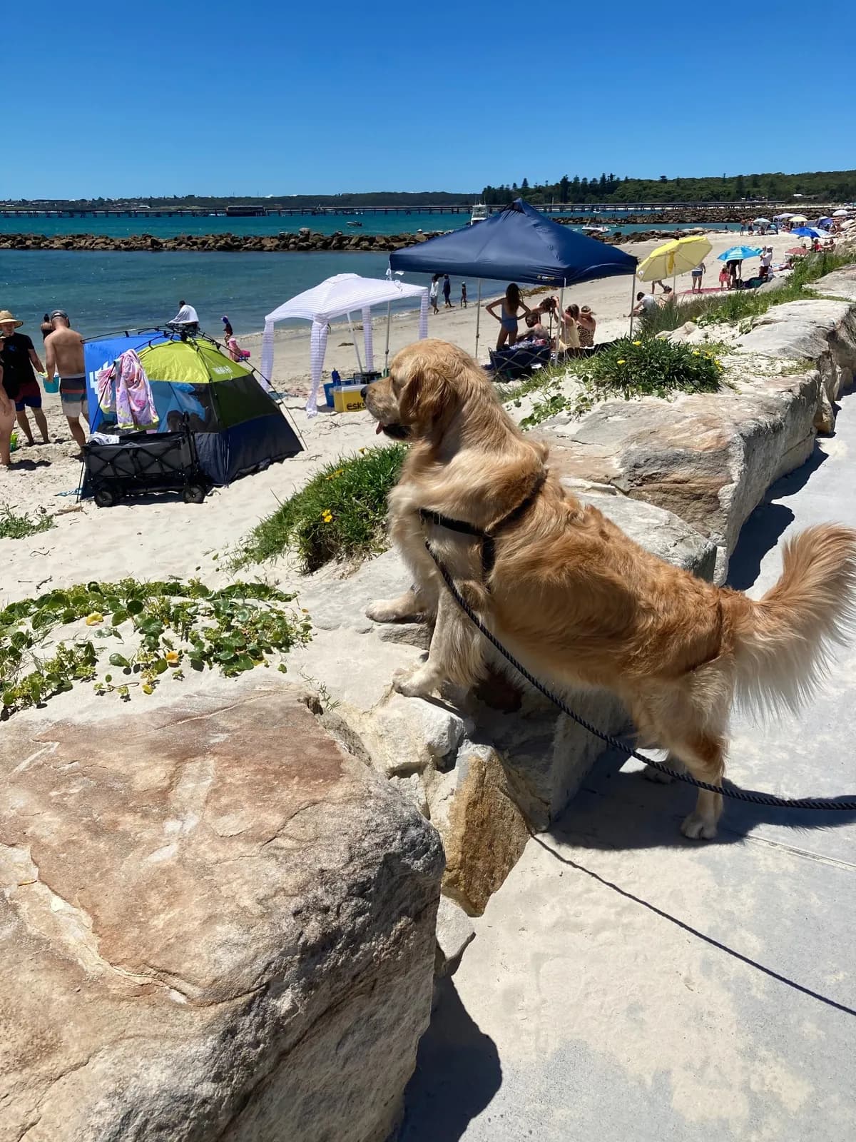 Photo from Silver Beach in Kurnell