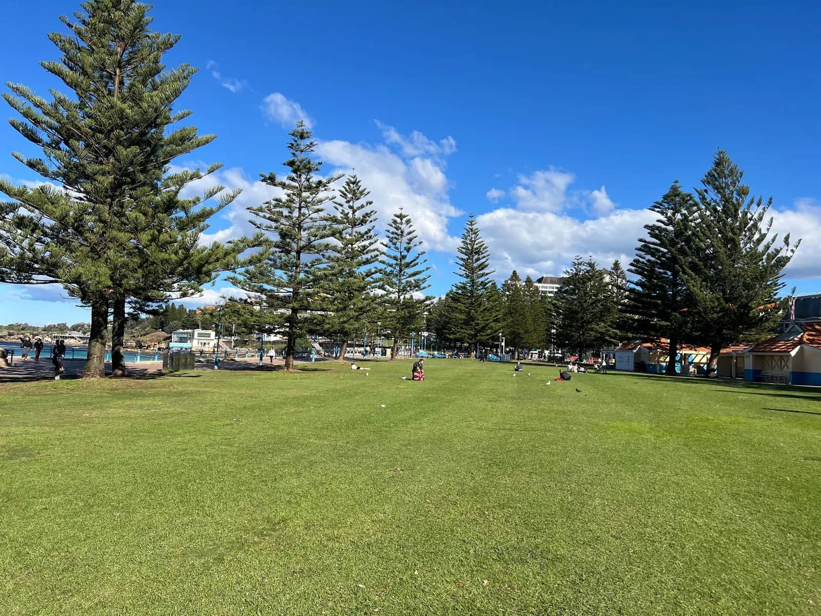 Goldstein Reserve park in Coogee