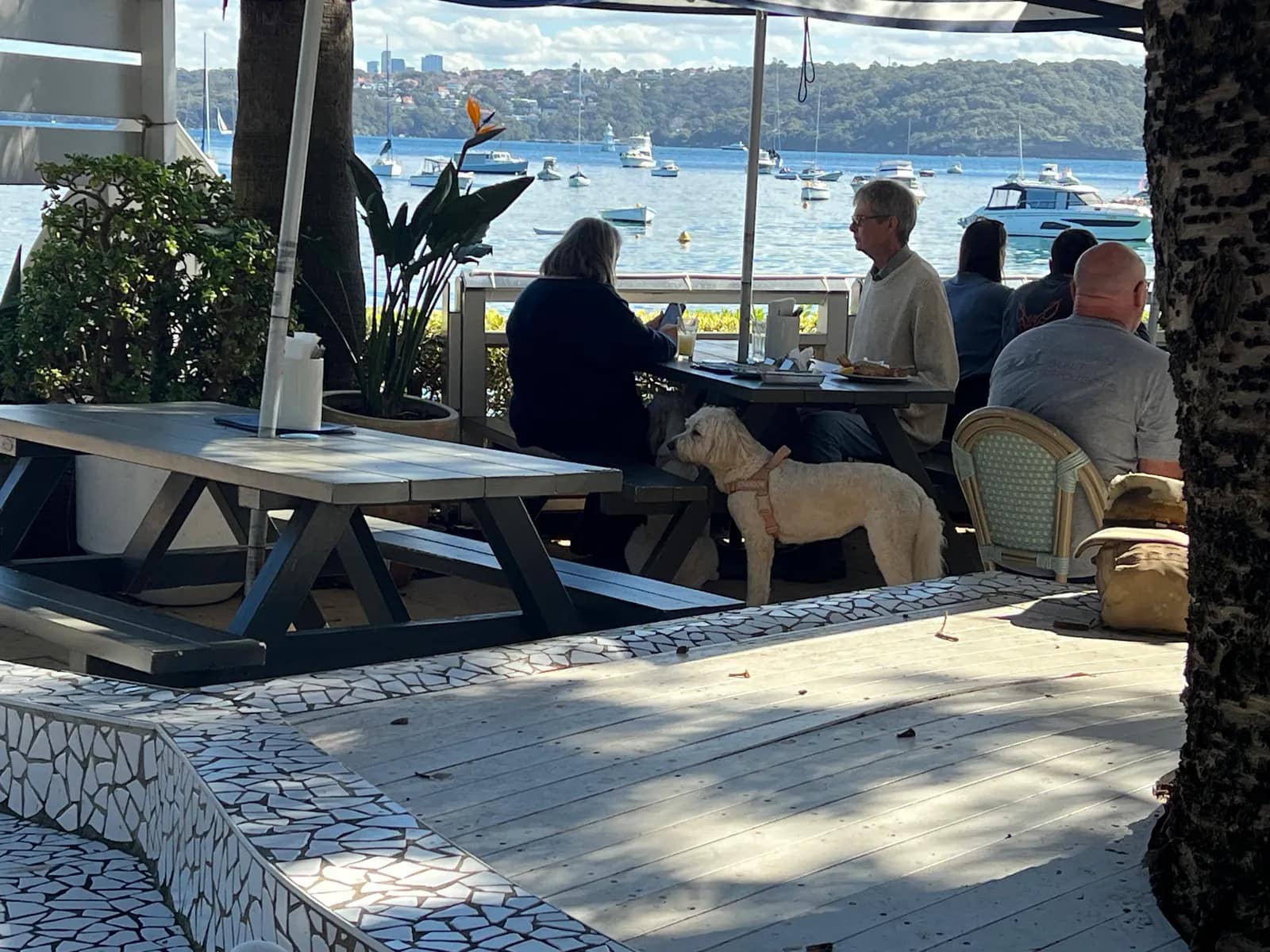 Beach Club at Watsons Bay Boutique Hotel pub in Watsons Bay