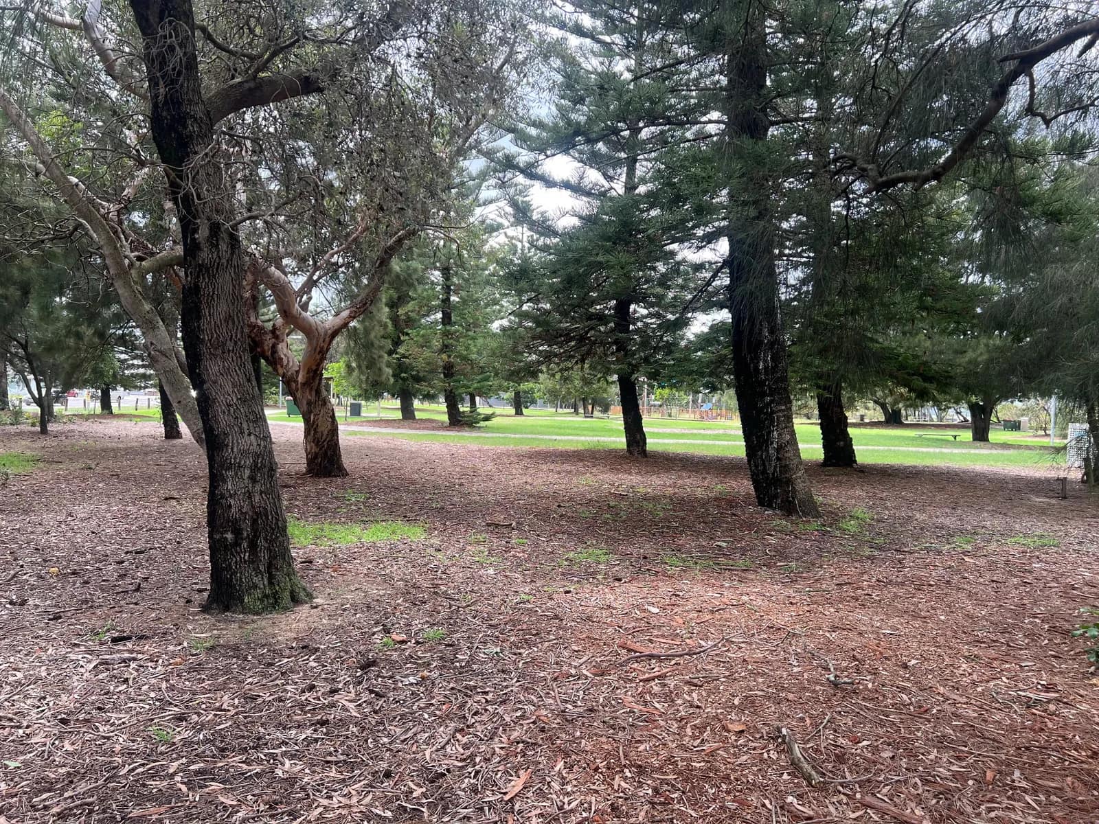 Cook Park park in Kyeemagh
