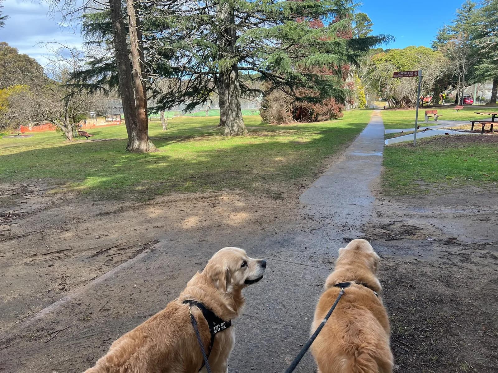 Wilson Park park in Wentworth Falls