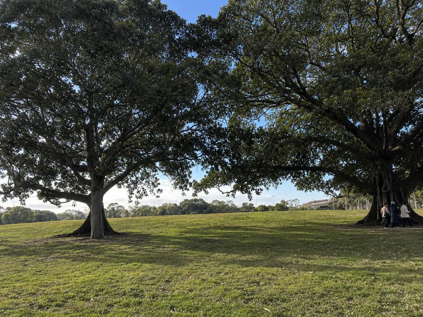 Moore Park park in Moore Park