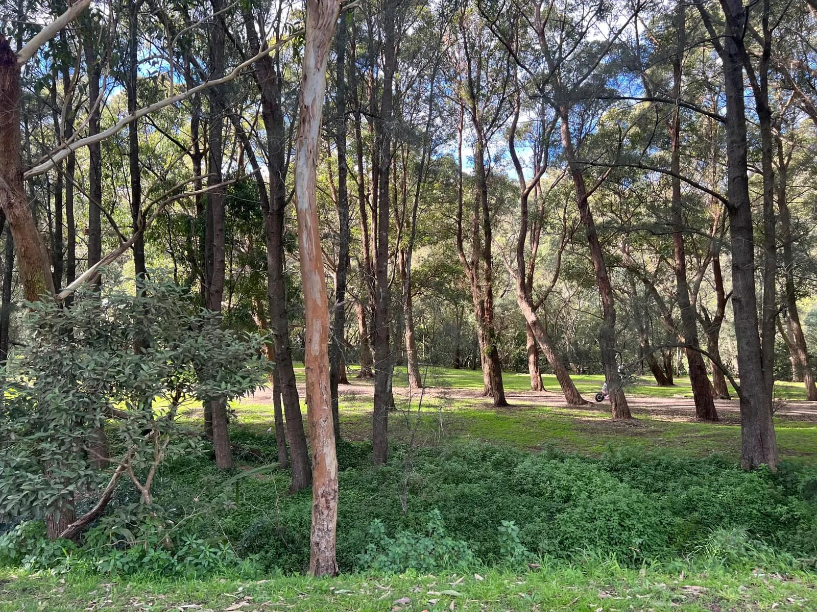 Carina Bay Reserve park in Como