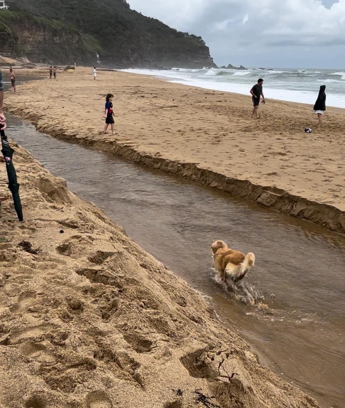 Stanwell Park Beach beach in Stanwell Park