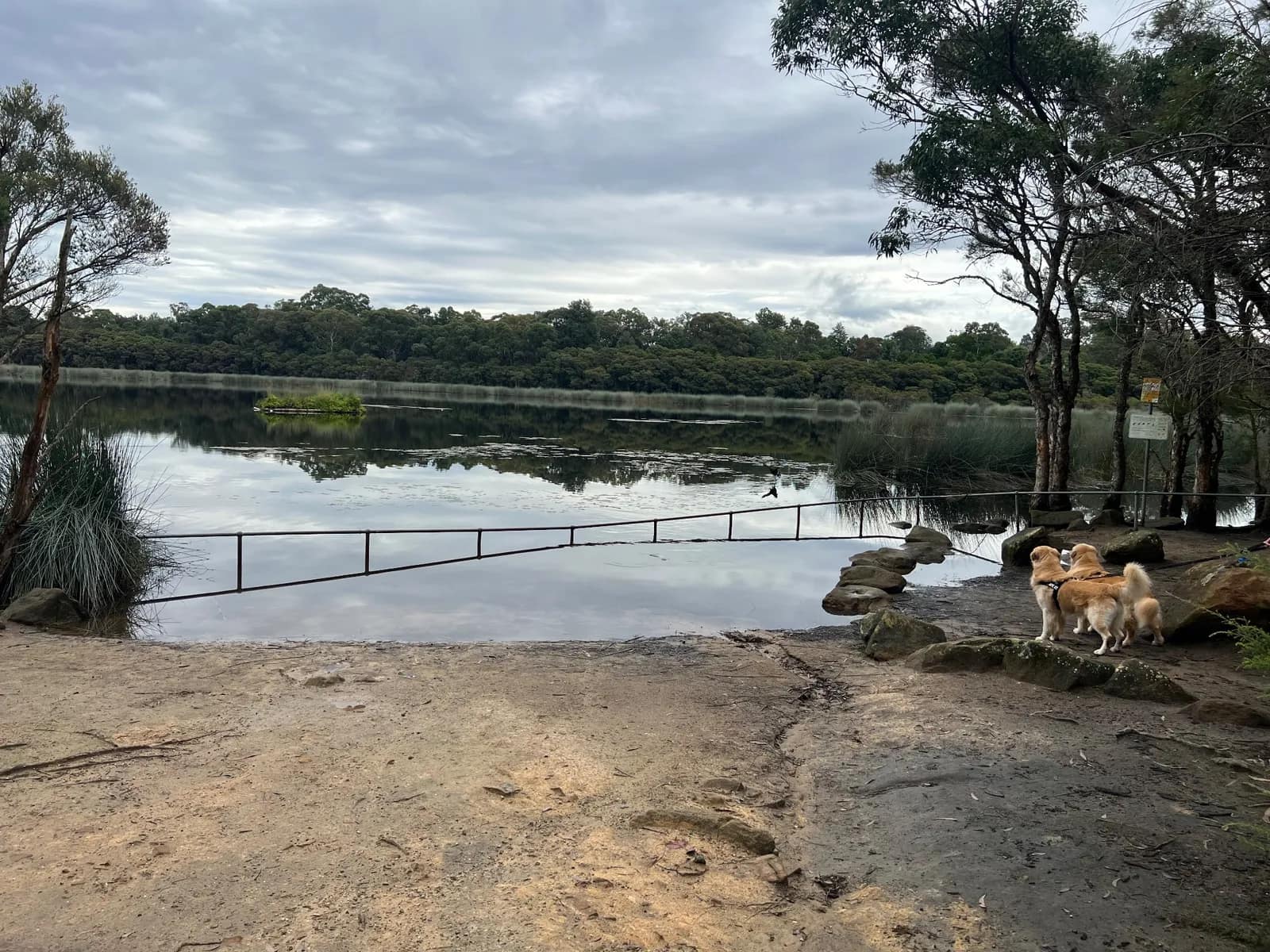 Glenbrook Lagoon park in Glenbrook