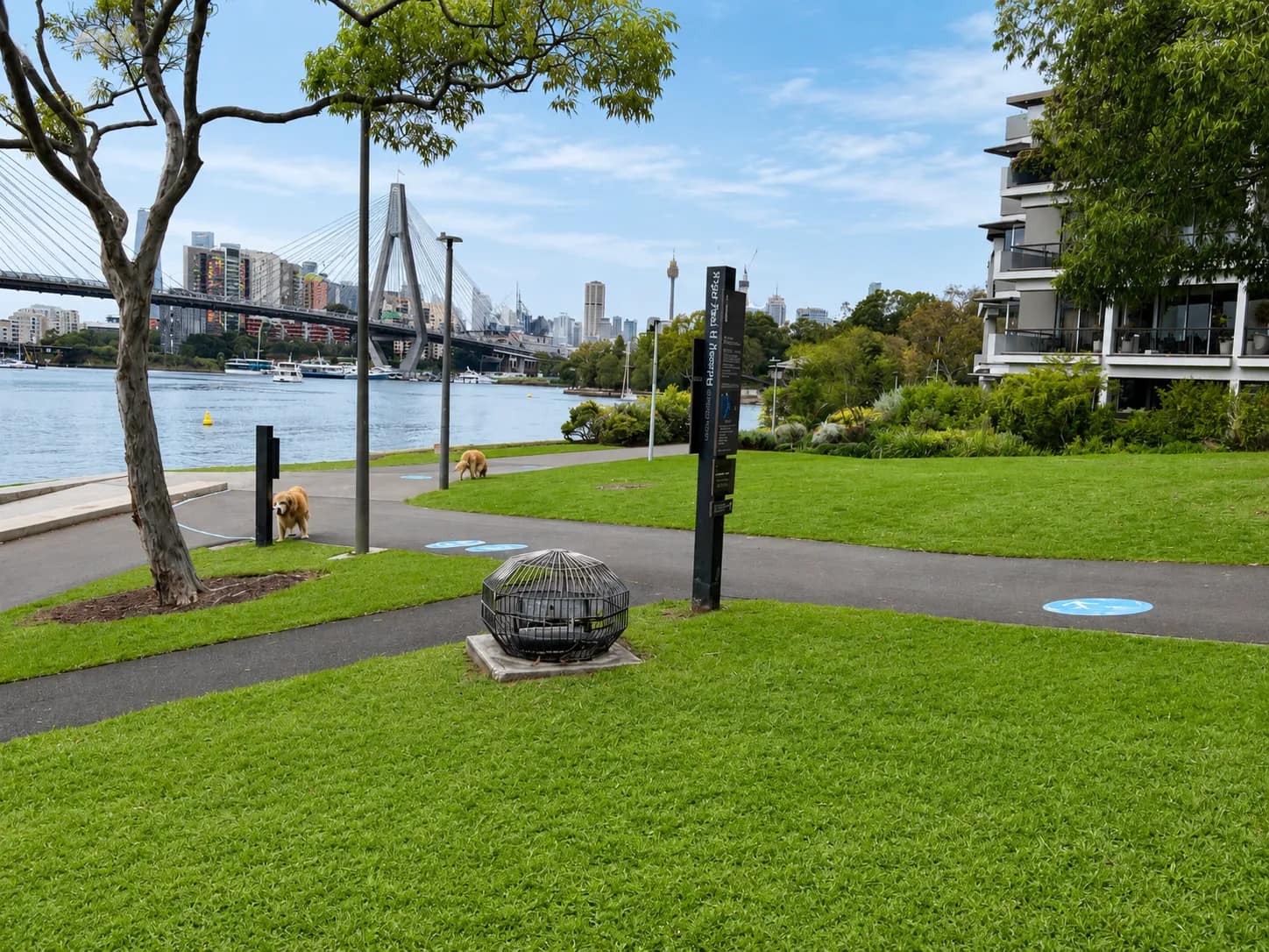 Pope Paul VI Reserve park in Glebe