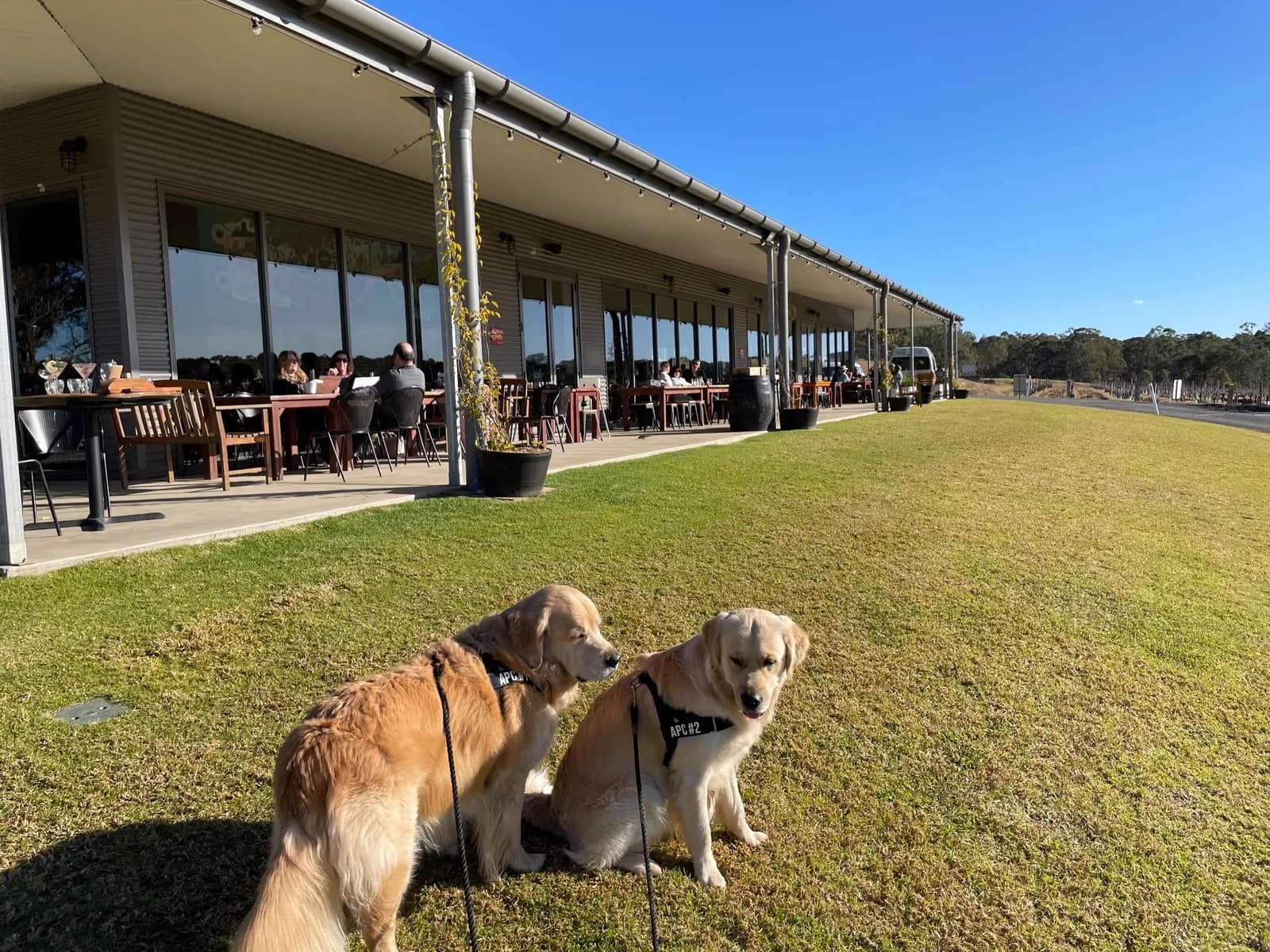 4 Pines at the Farm - Hunter Valley pub in Pokolbin