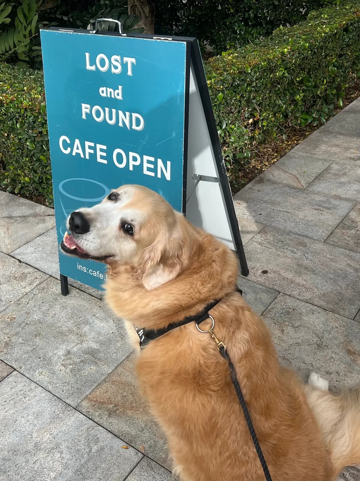 Photo from Cafe Lost and Found - North Sydney Cafe, Coffee Nearby in North Sydney