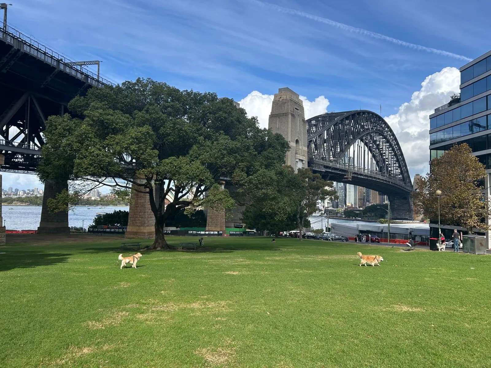 Bradfield Park park in Milsons Point