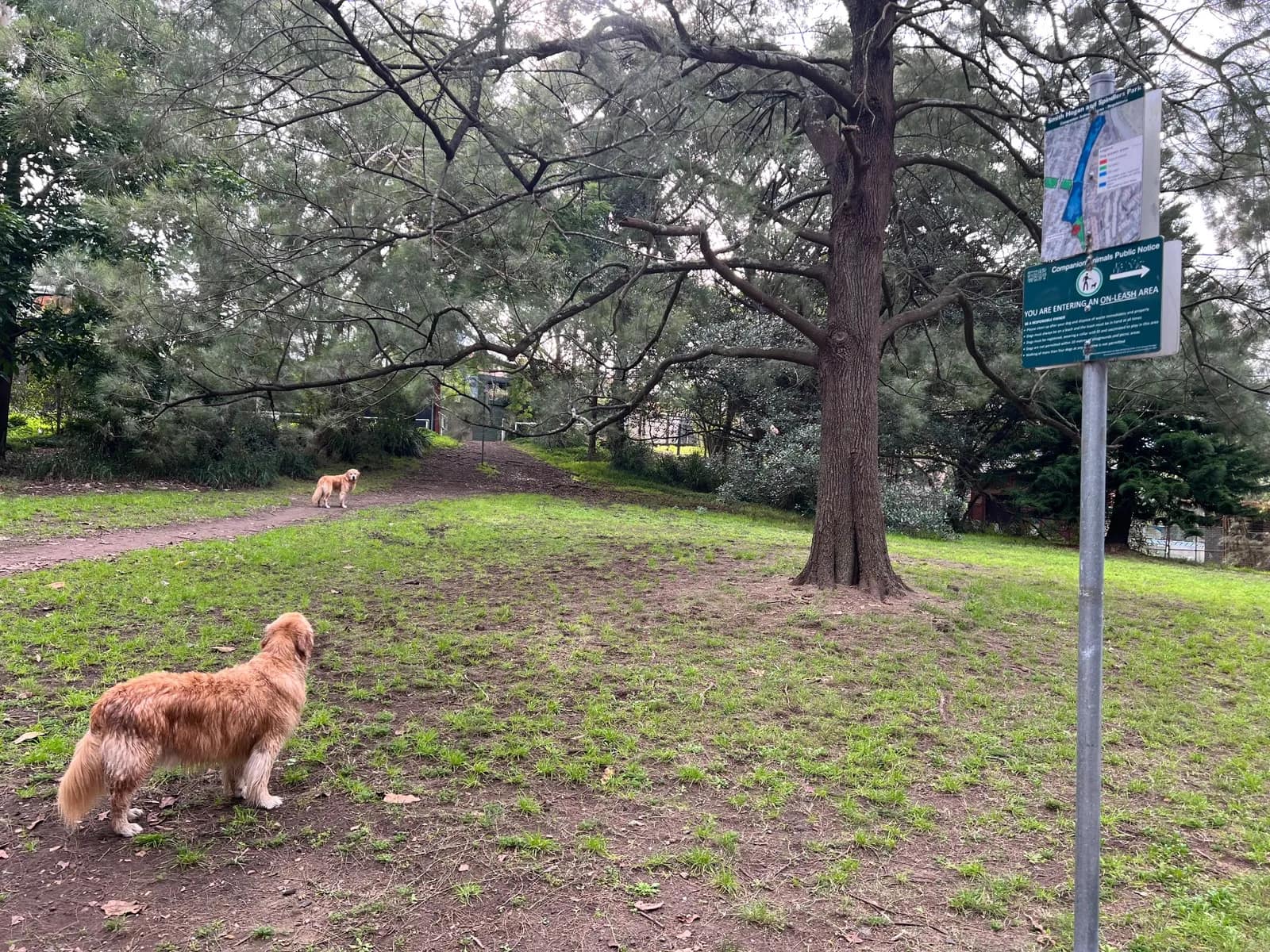 Smith Hogan and Spindlers Parks park in Annandale