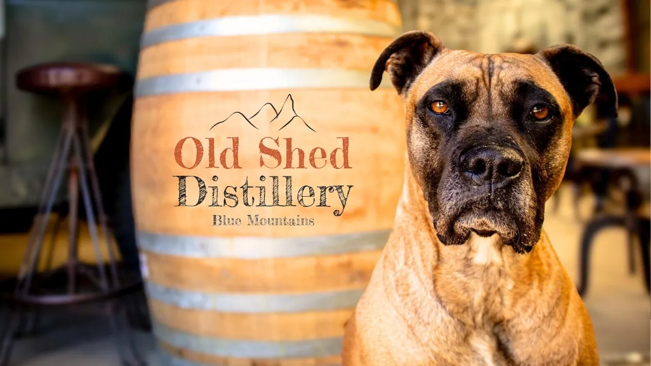 The Old Shed Distillery: Bilpin, Blue Mountains distillery in Bilpin