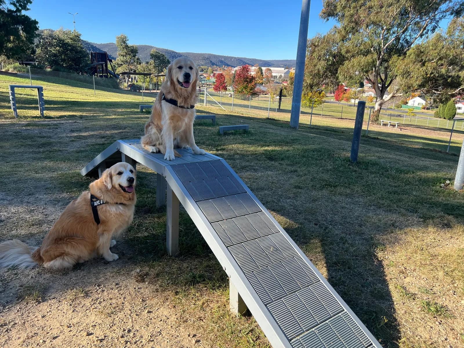 Endeavour Park park in South Bowenfels