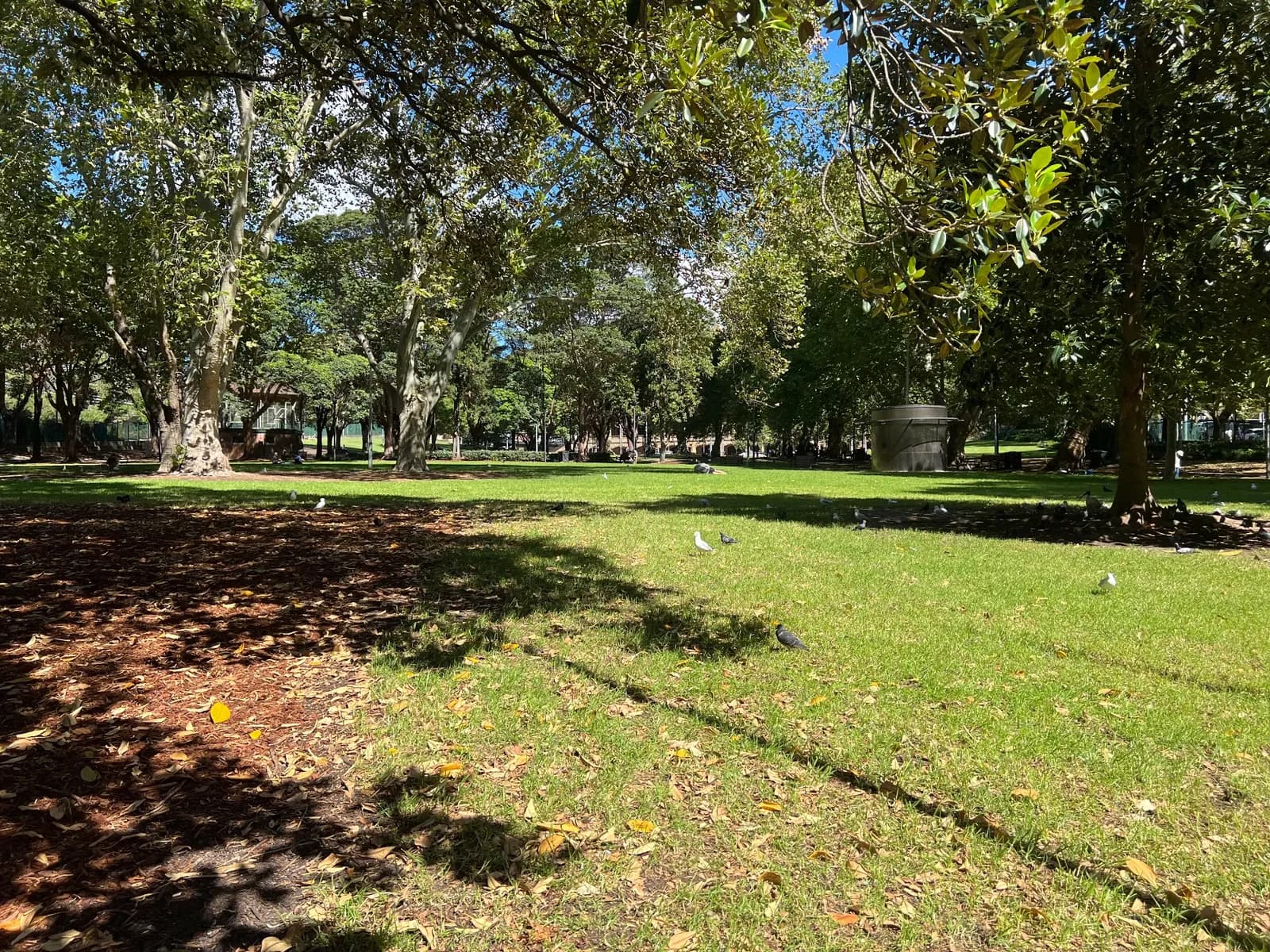 Photo from Belmore Park in Haymarket