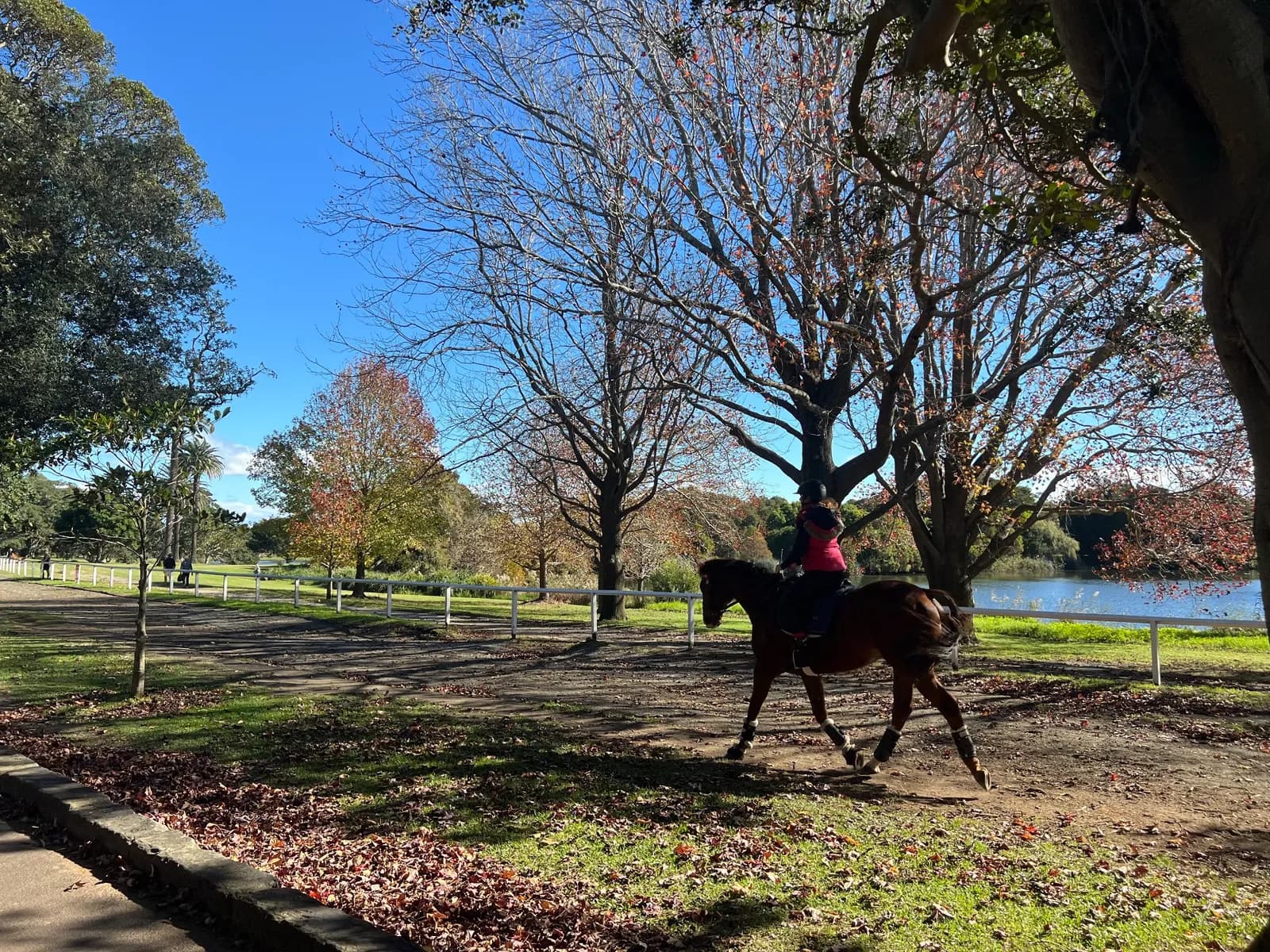 Centennial Parklands in Centennial Park