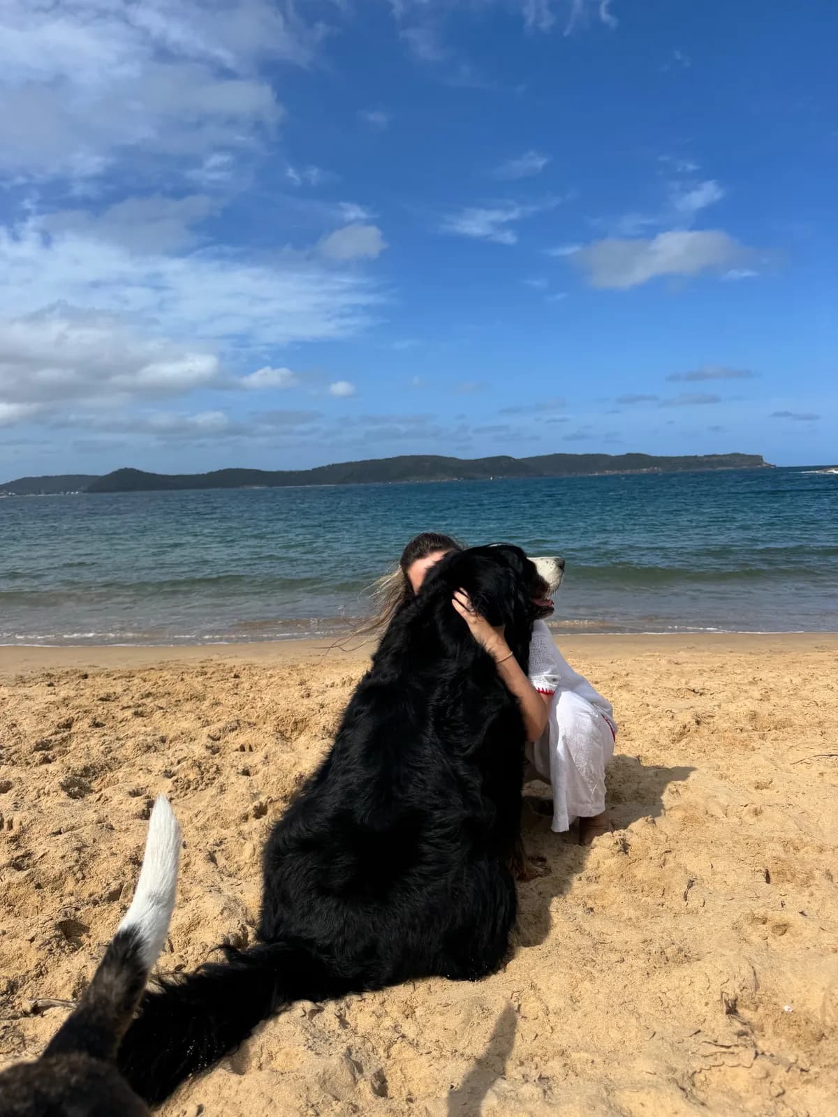 Pearl Beach in Pearl Beach