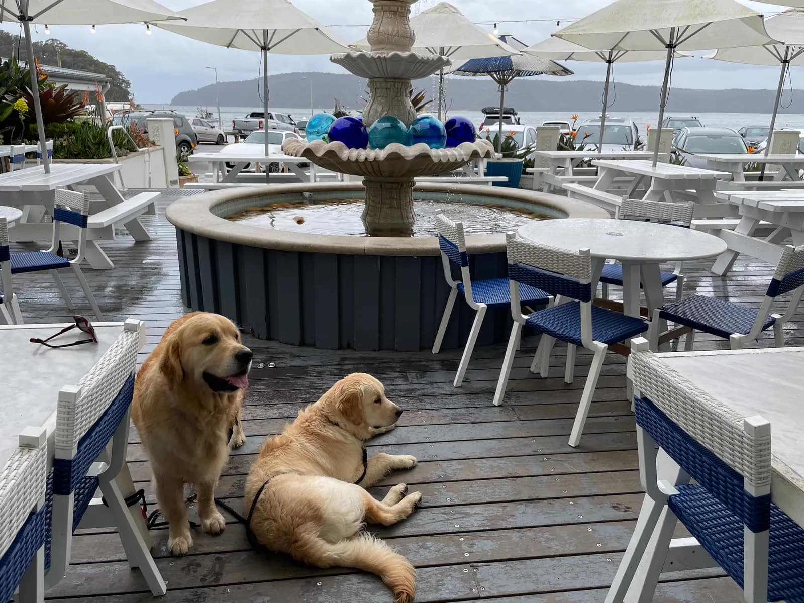 The Boathouse Hotel Patonga pub in Patonga