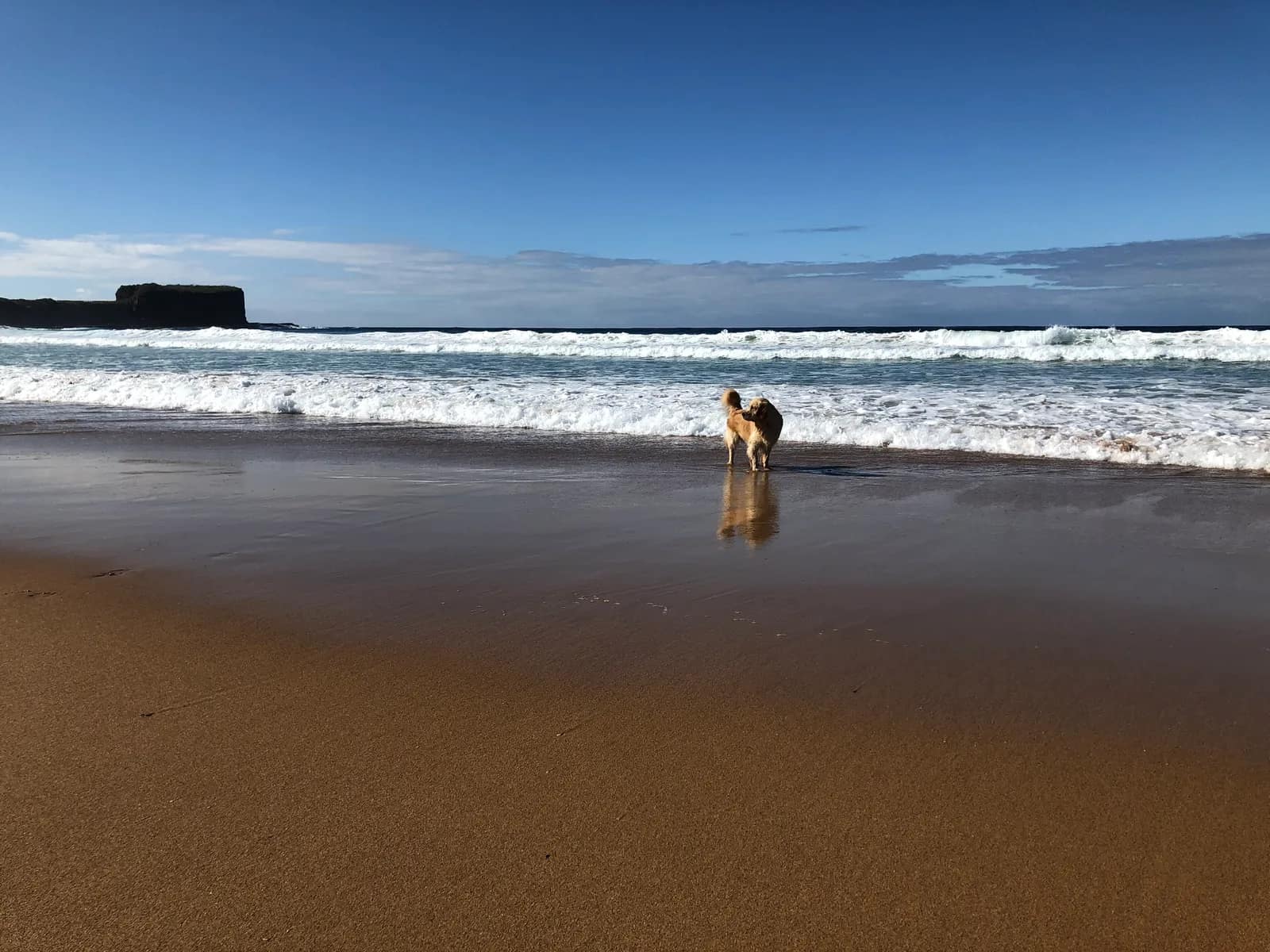 Bombo Beach beach in Bombo