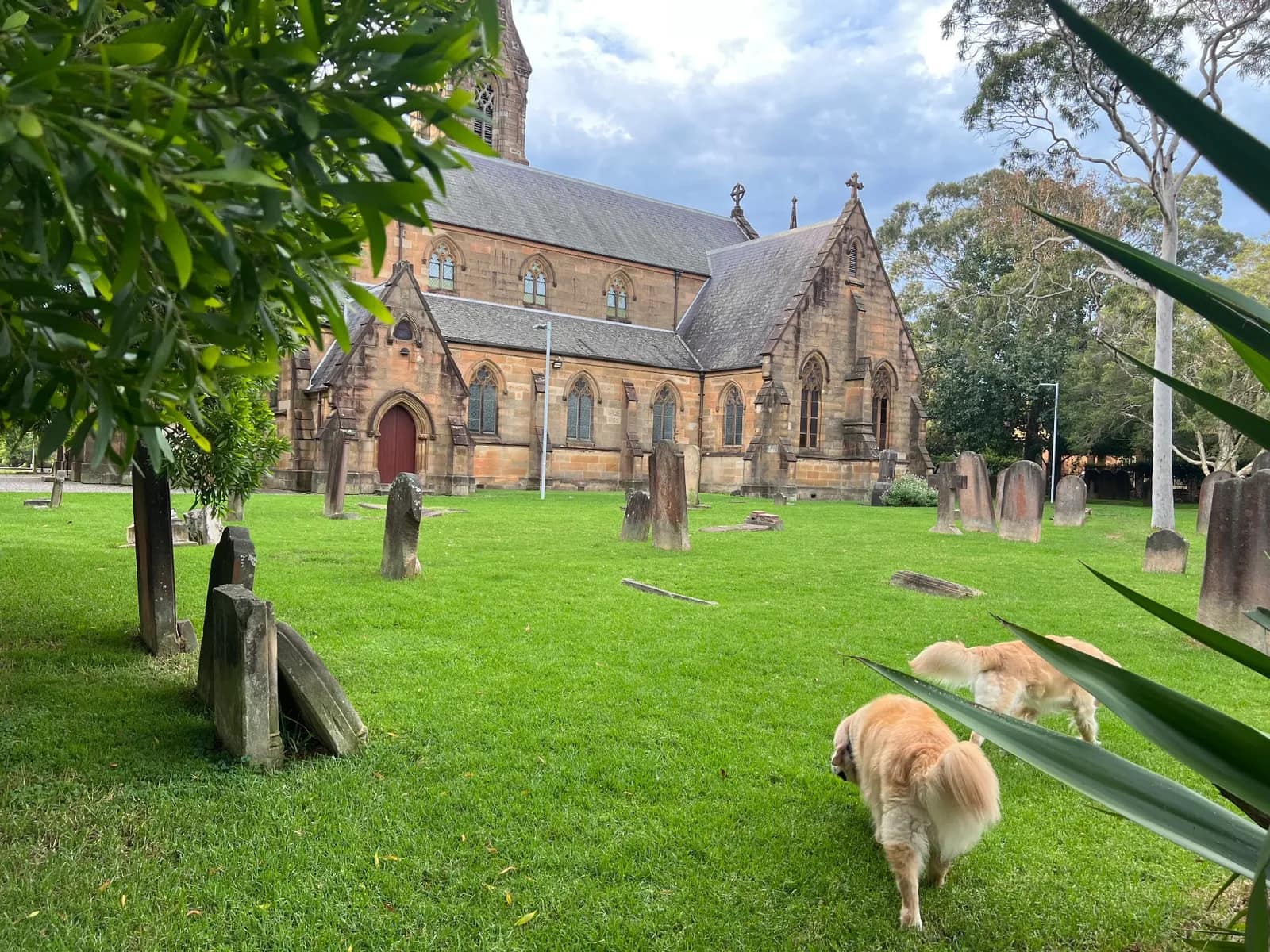 Newtown Erskineville Anglican Church Yard park in Newtown