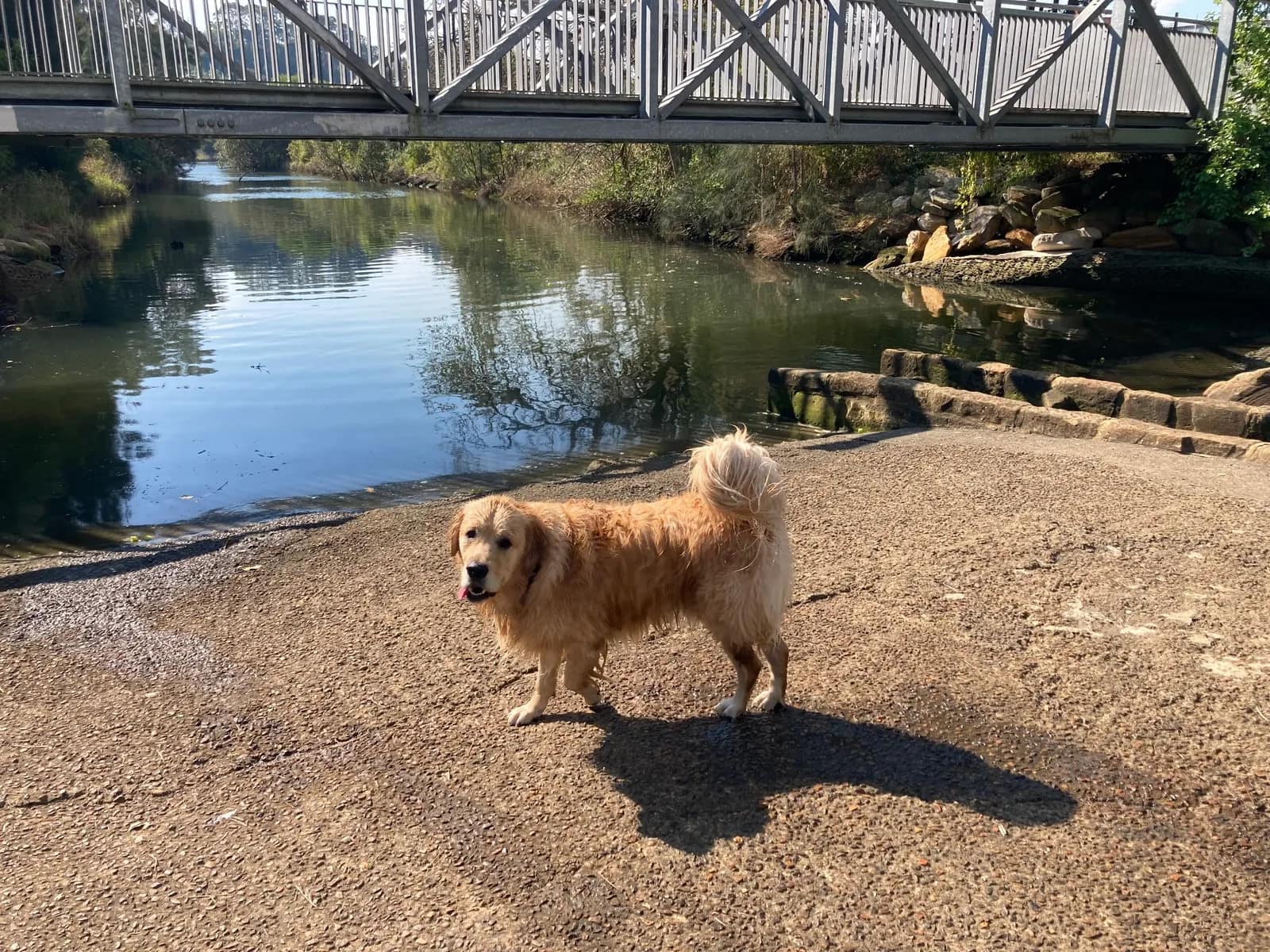 Wolli Creek Regional Park park in Earlwood