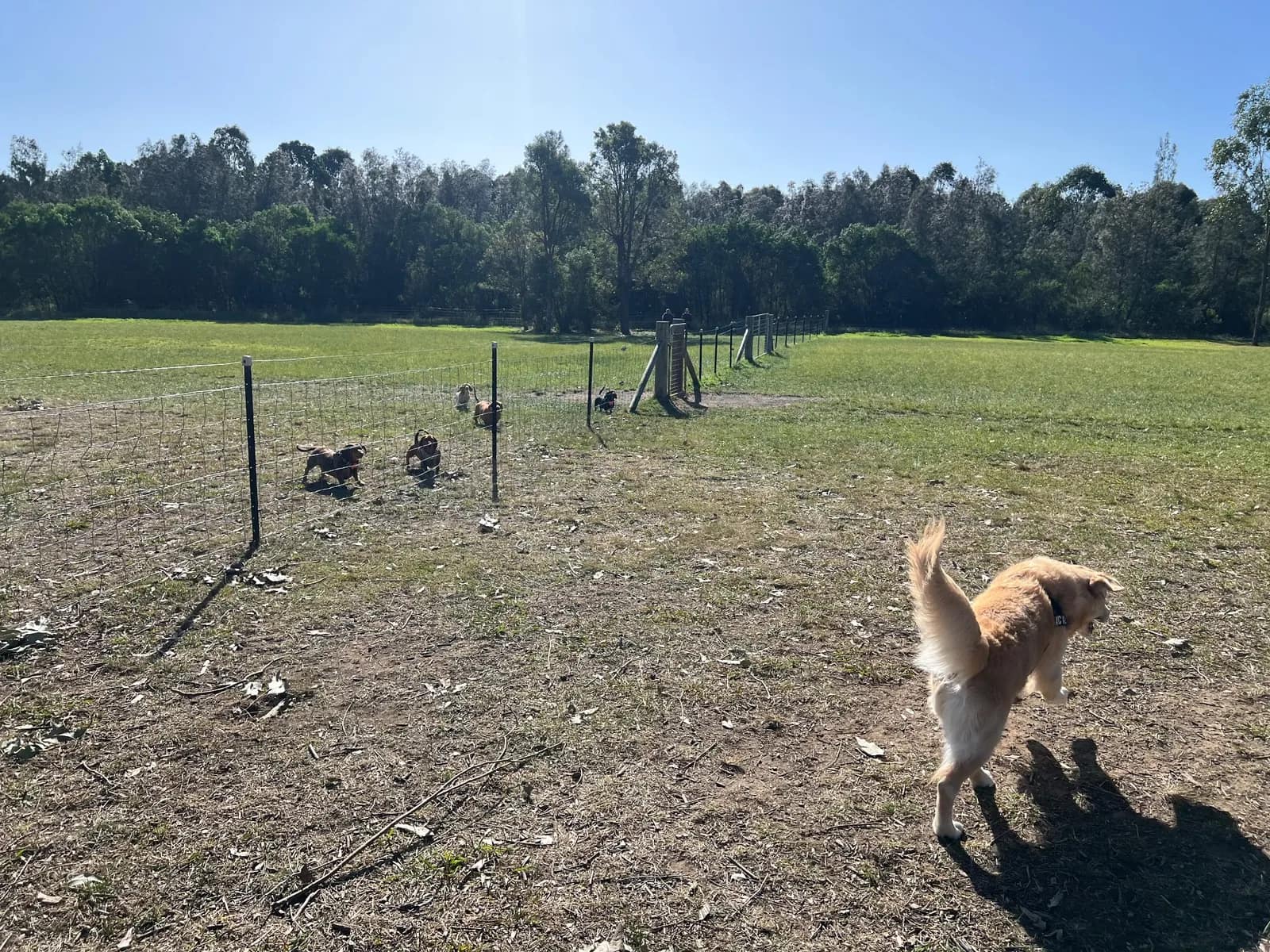 Warrigal Dog Run park in Arndell Park