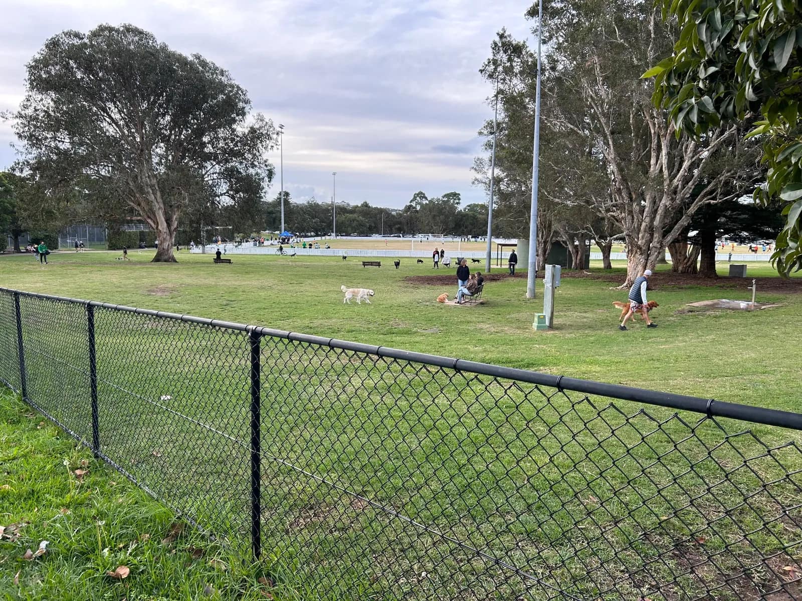 LM Graham Reserve Fenced Dog Park park in Fairlight