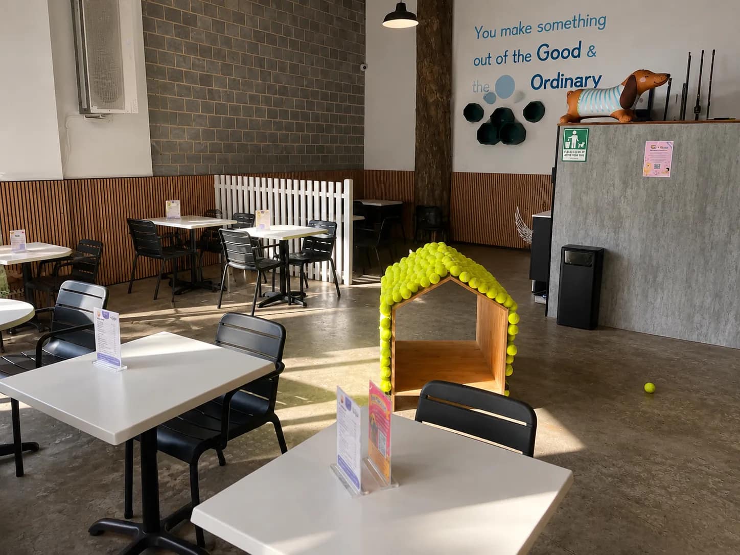 Dogge cafe in Newtown