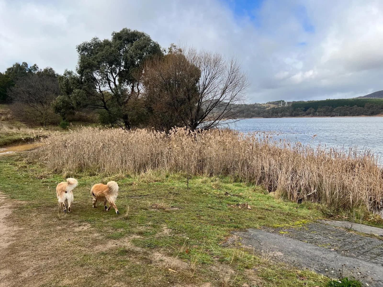 Lake Wallace Reserve park in Wallerawang