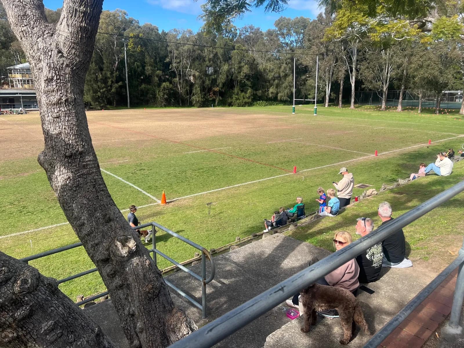 Scylla Bay Oval park in Como